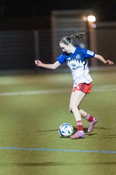 Bild 483 - F SC Alstertal-Langenhorn - Hamburger SV 3 : Ergebnis: 2:2